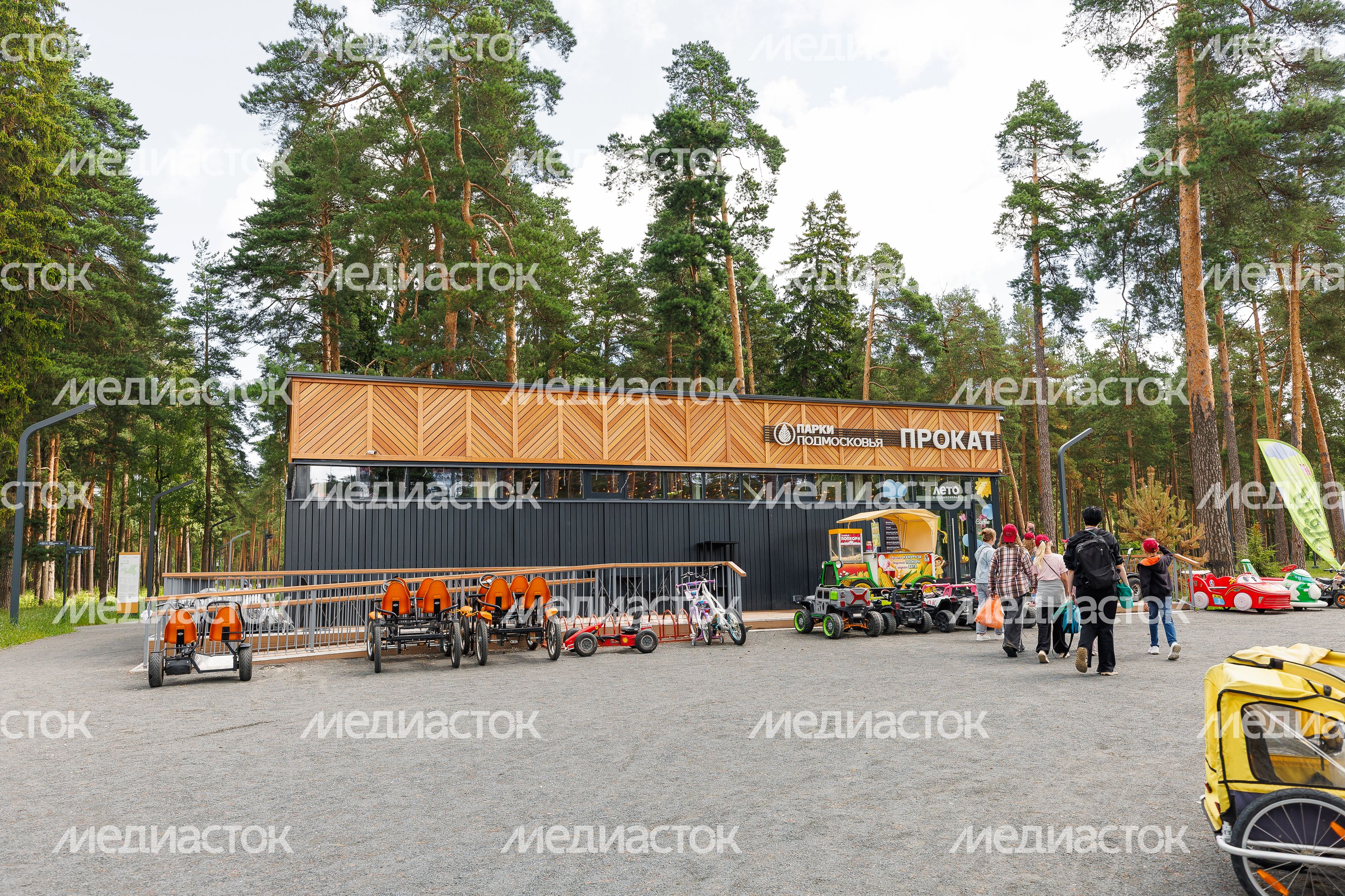 Прокат в лесопарке «Стрелки» в Орехово-Зуево летом