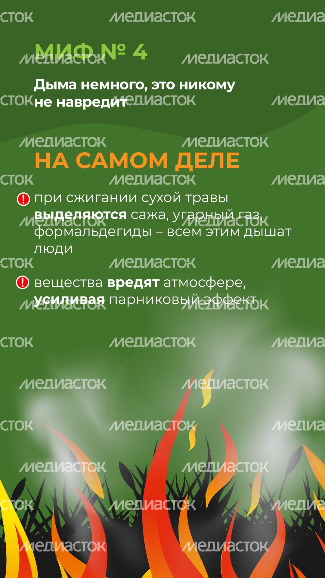 комлесхоз_пал_верт_5.jpg