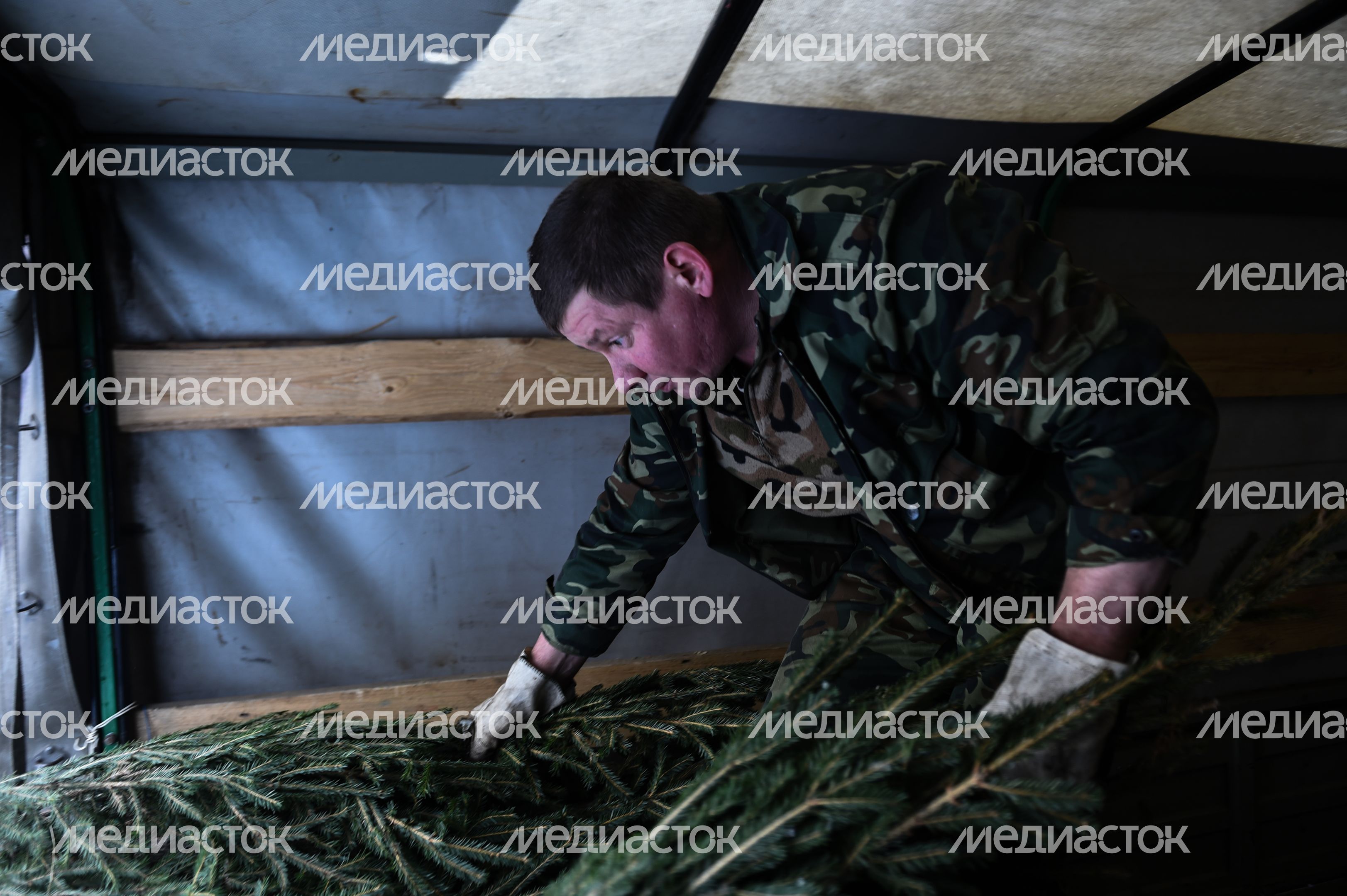 Утилизация елок после Нового года в Москве
