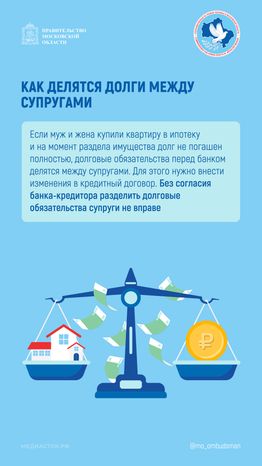Раздел имущества вертикаль 04