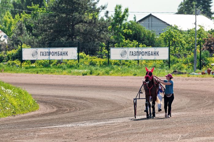 Рысистые бега на Раменском ипподроме