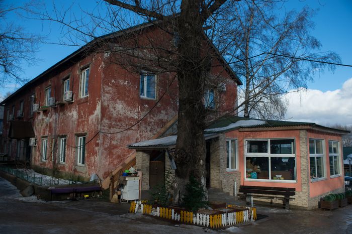 Шереметьевский приют для собак в Химках