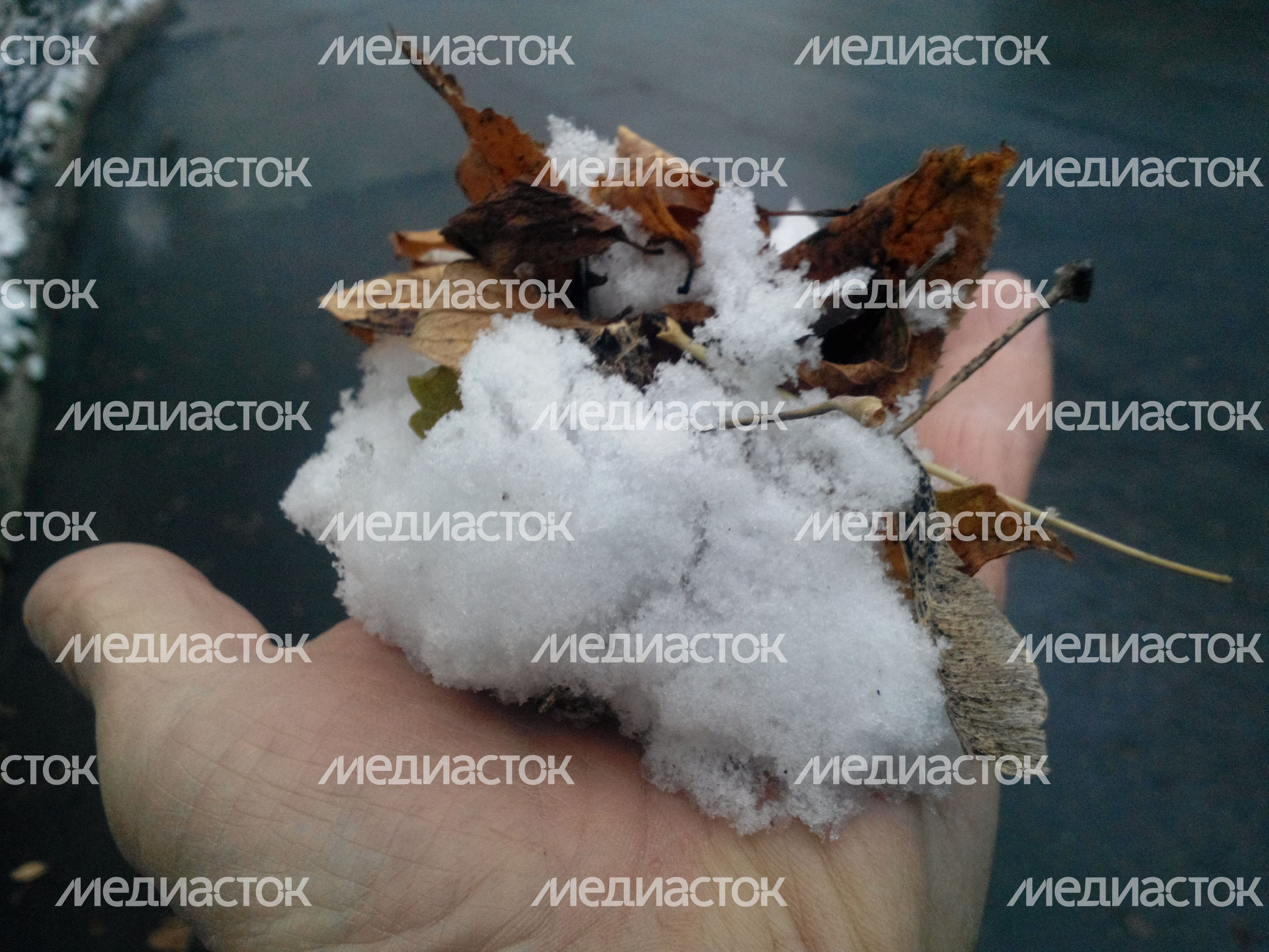 Первый снег в Клину