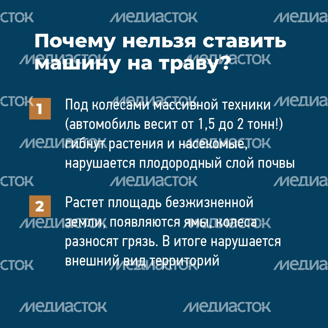 квадраты не паркуйтесь на газоне 03.png