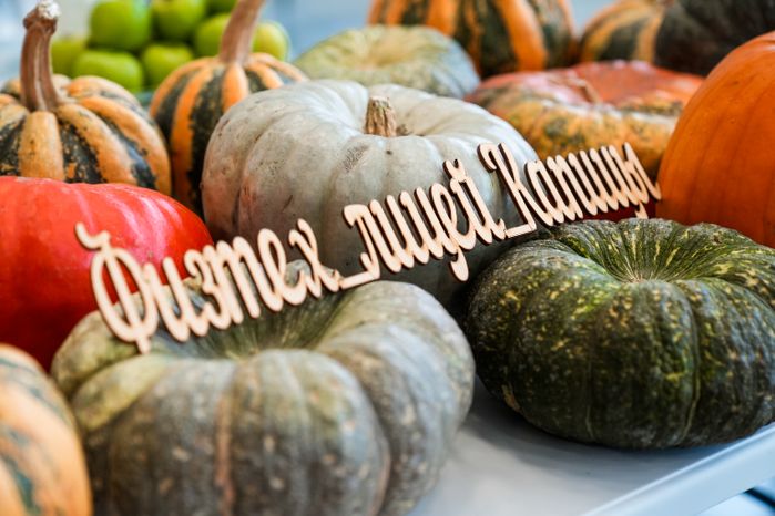 Физтех-лицей им. П.Л. Капицы в Долгопрудном отметил своё десятилетие