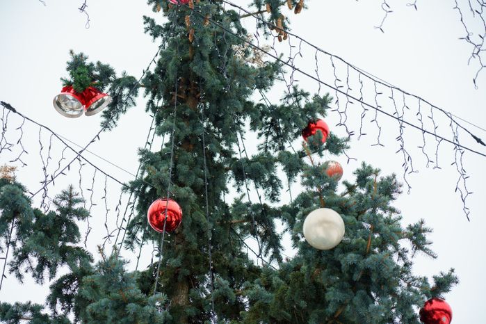 Кашира. Городской парк. Зима