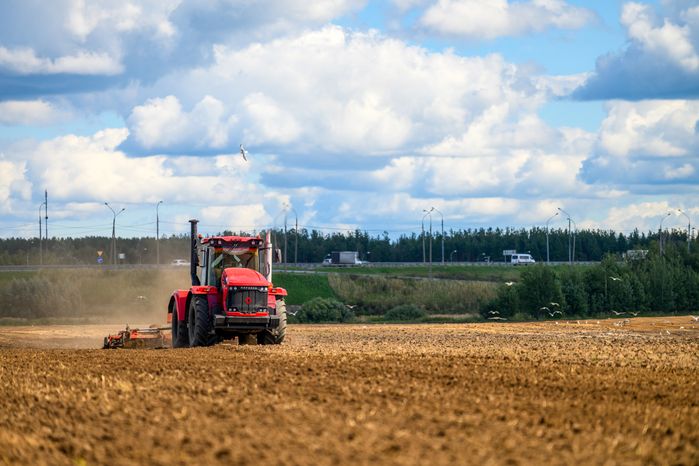 Уборка урожая картофеля в округе Коломна