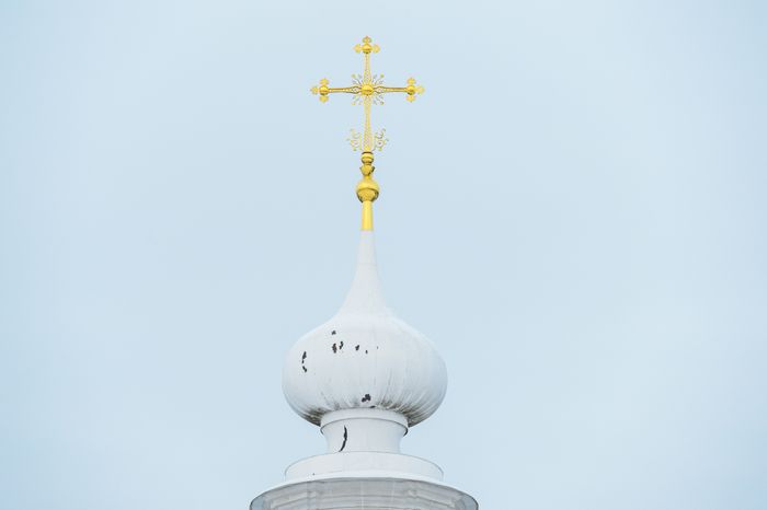 Солнечногорск. Выставка «Жизнь без начала и конца» в усадьбе Тараканово