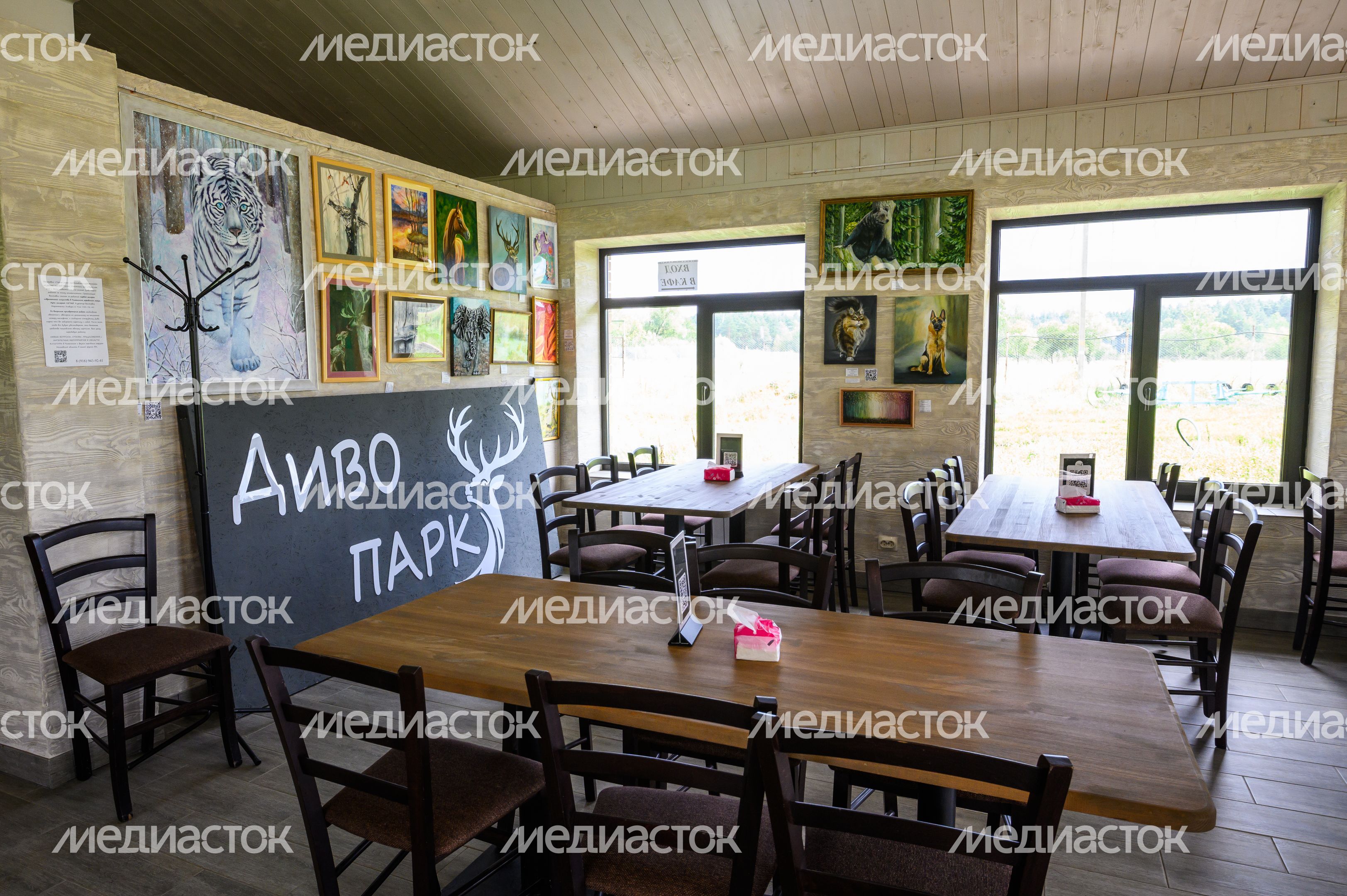Зоопарк «Диво парк» в деревне Фенино Раменского округа Зоопарк «Диво парк» в деревне Фенино Раменского округа