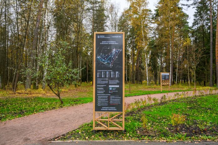 Карта лесопарка «Банный лес» в Красноармейске осенью