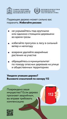 Аварийные деревья_Вертикаль-05.jpg