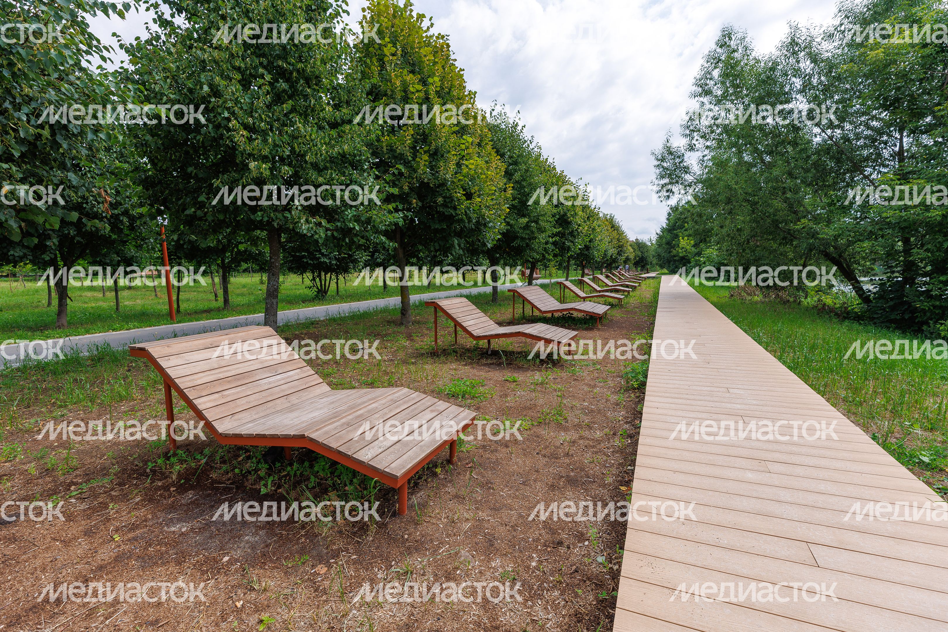 Парк "Липовая аллея" в Электроуглях