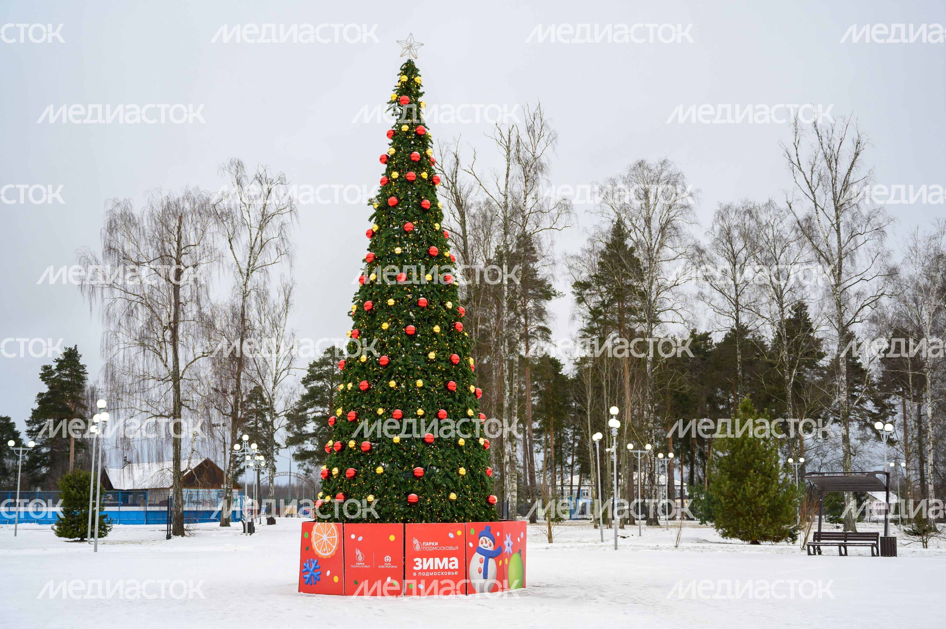 Новогодняя елка в городском парке культуры и отдыха Электрогорска Павлово-Посадского округа зимой Новогодняя елка в городском парке культуры и отдыха Электрогорска Павлово-Посадского округа зимой