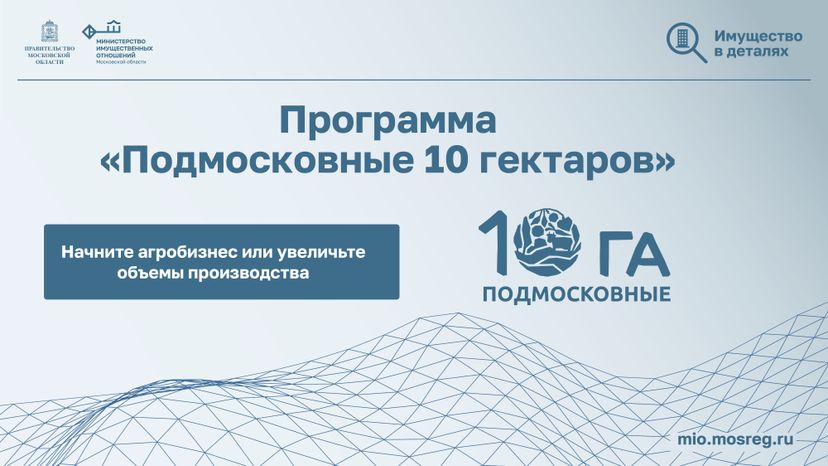 Имущество в деталях. Подмосковные 10га