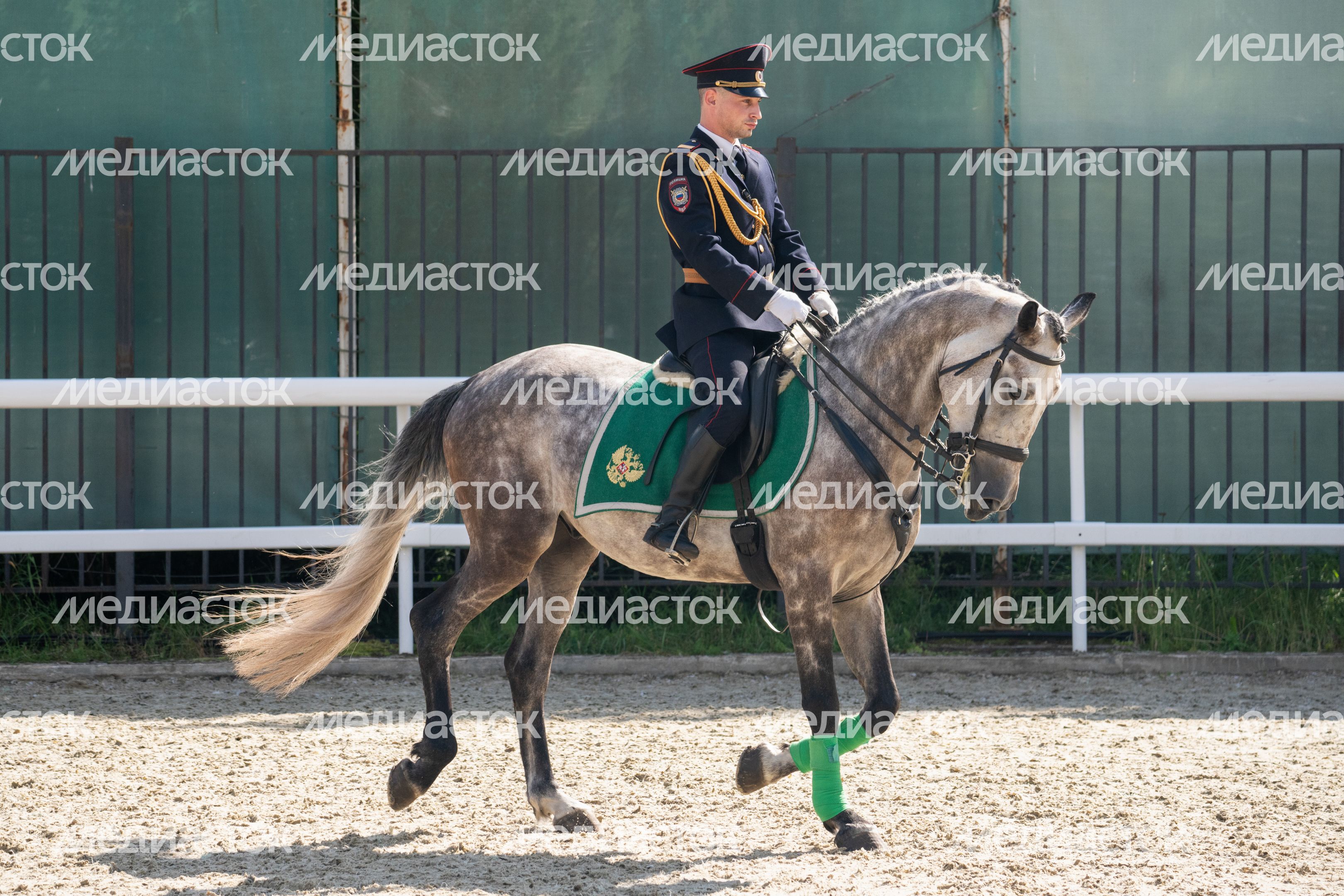 IV Чемпионат русских троек «Крылатое сердце России» в Одинцовском округе