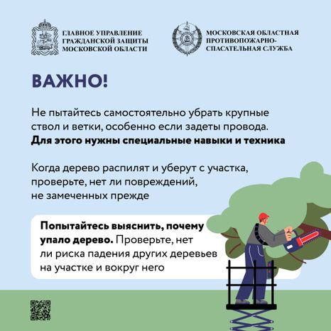 Аварийные деревья_Квадрат-08.jpg