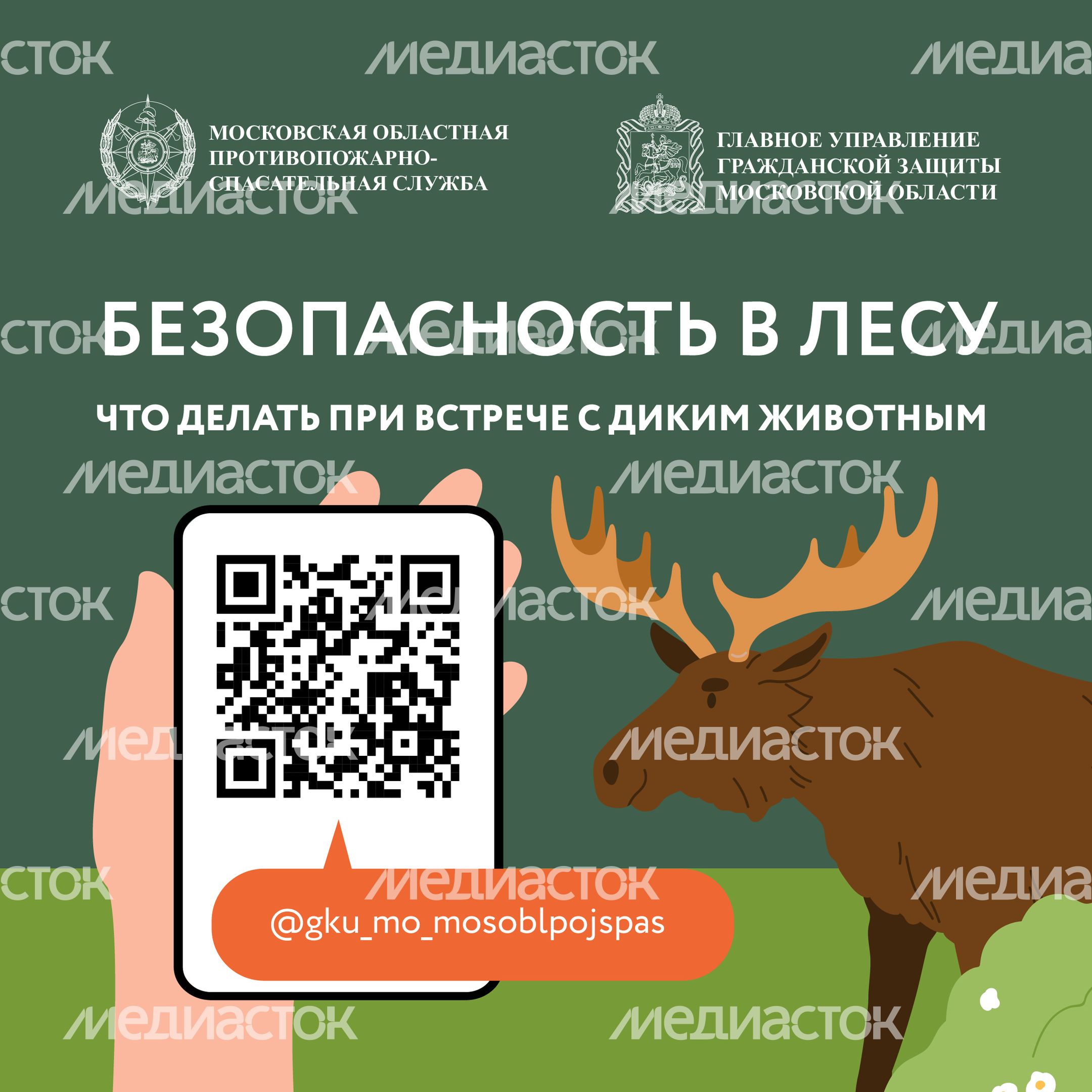 Квадрат Безопасность в лесу 01.jpg