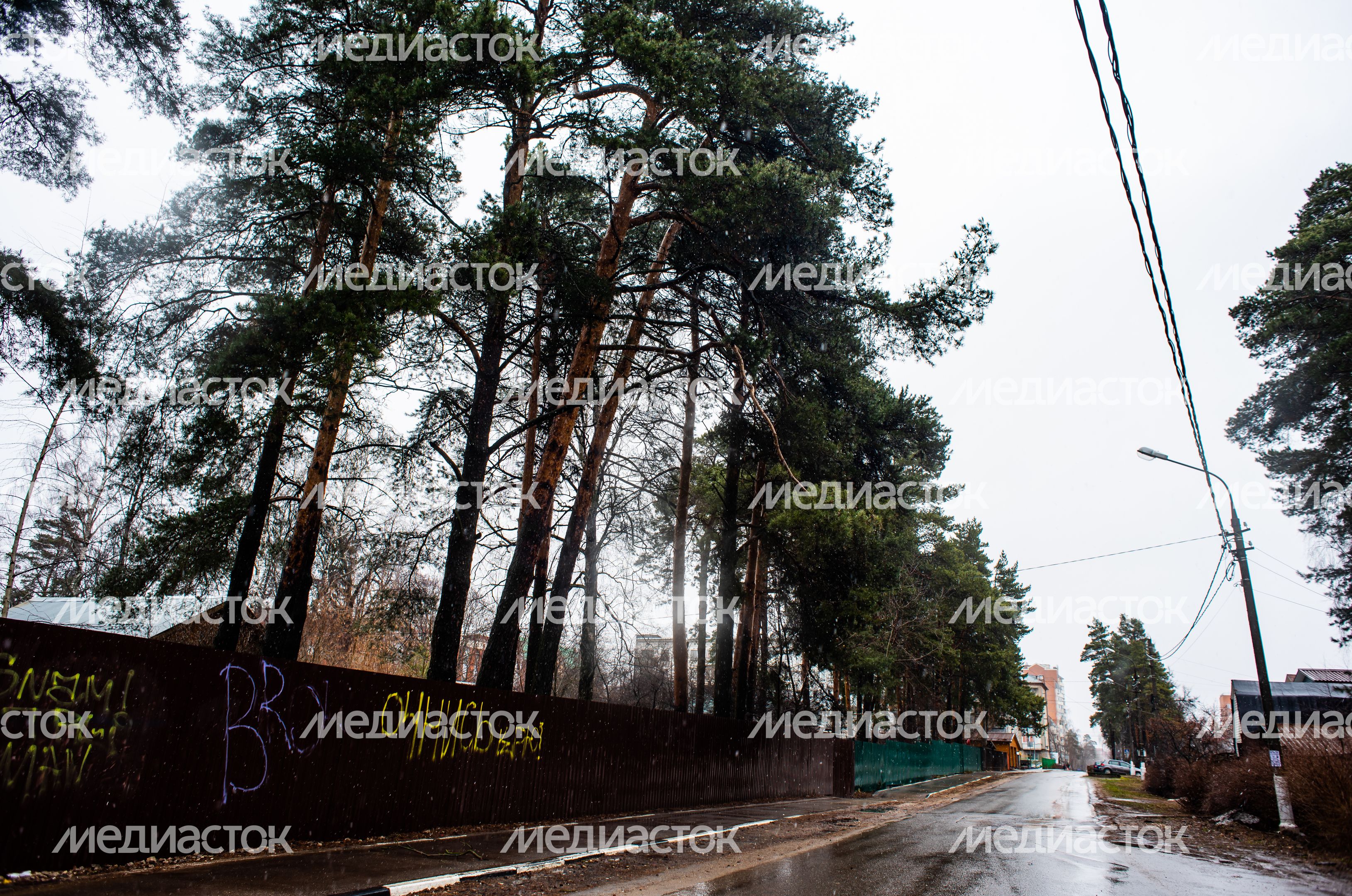 Весенние виды города Электроугли
