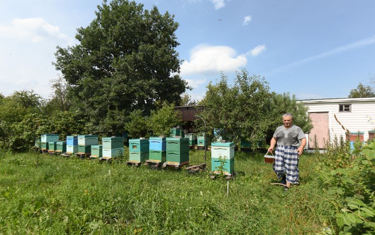 Пчеловод из Королева, 2 часть