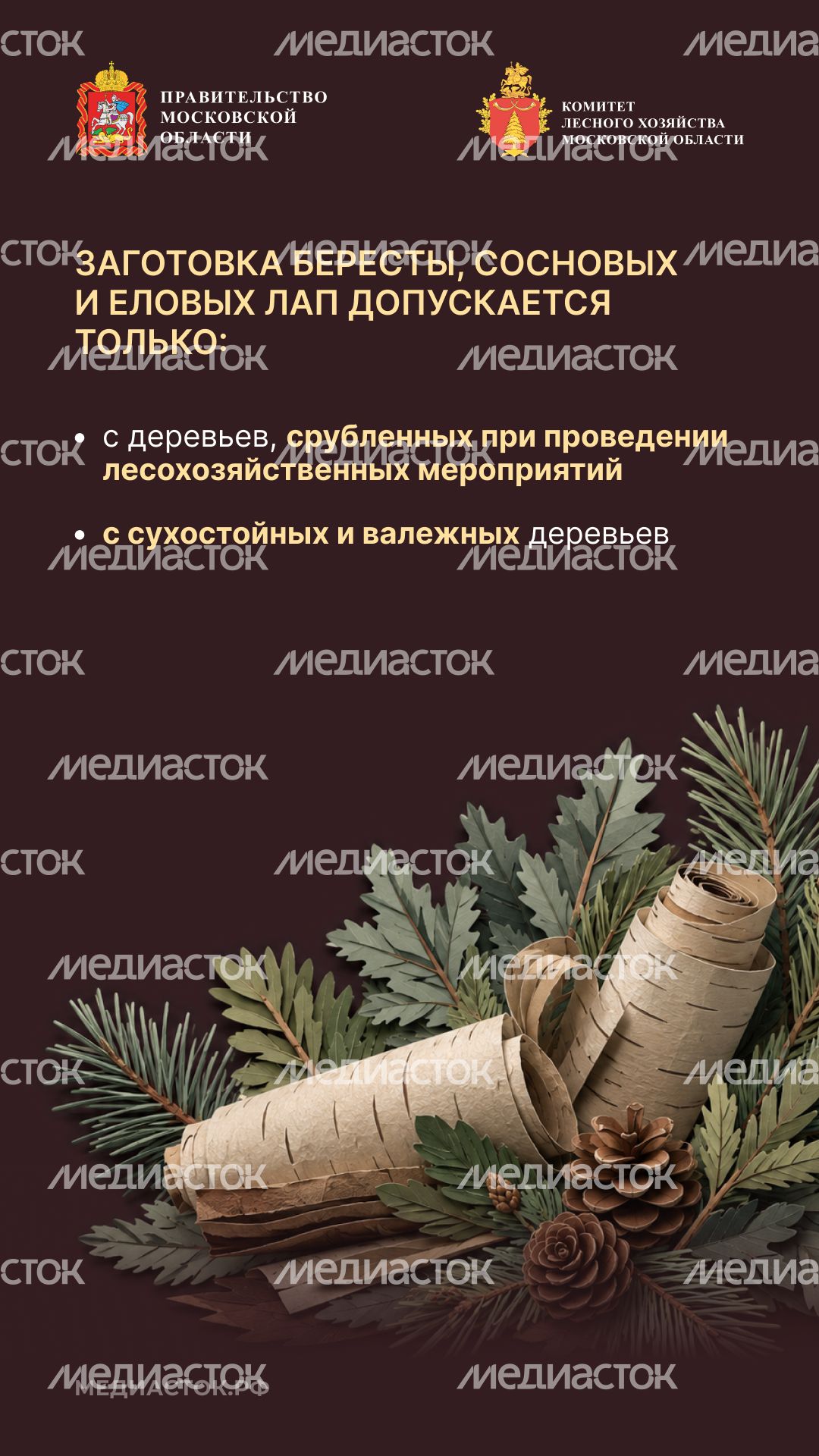 Недревесные ресурсы для собственных нужд Вертикаль 06
