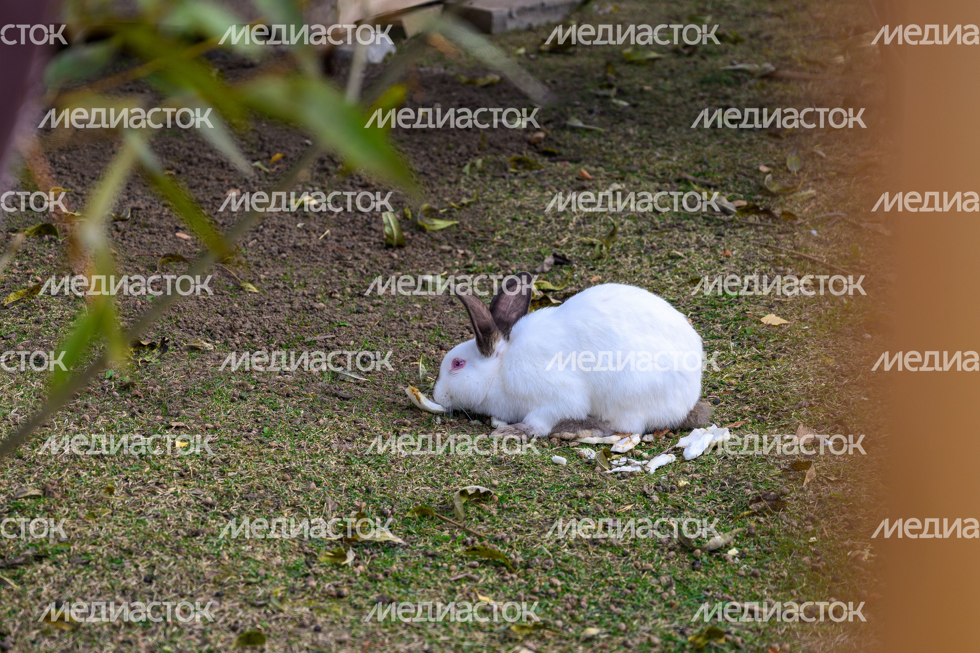 Новый благоустроенный парк «Сераксеево» в округе Серпухов осенью Новый благоустроенный парк «Сераксеево» в округе Серпухов осенью
