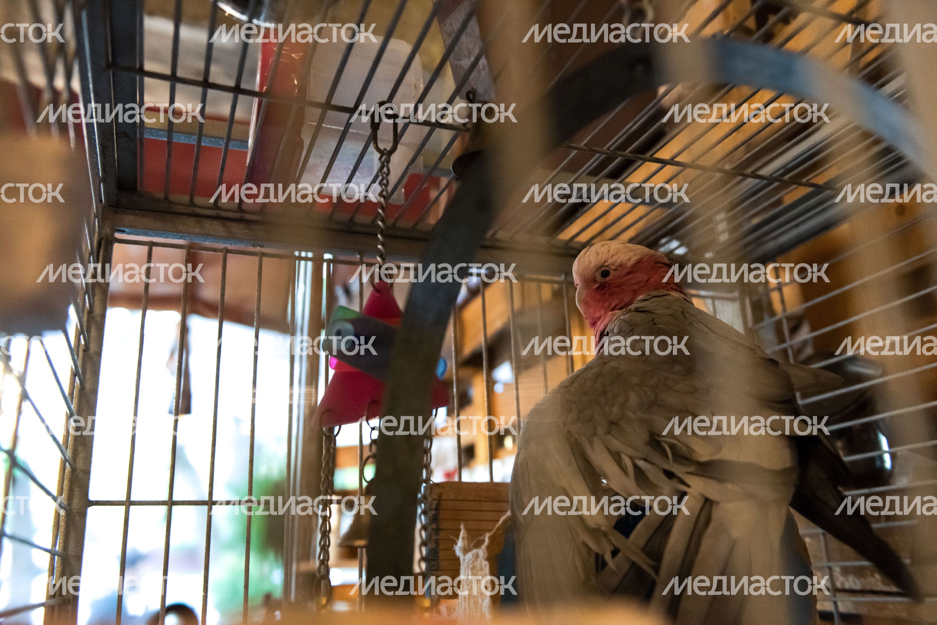 Кафе «Кусочки» в Москве