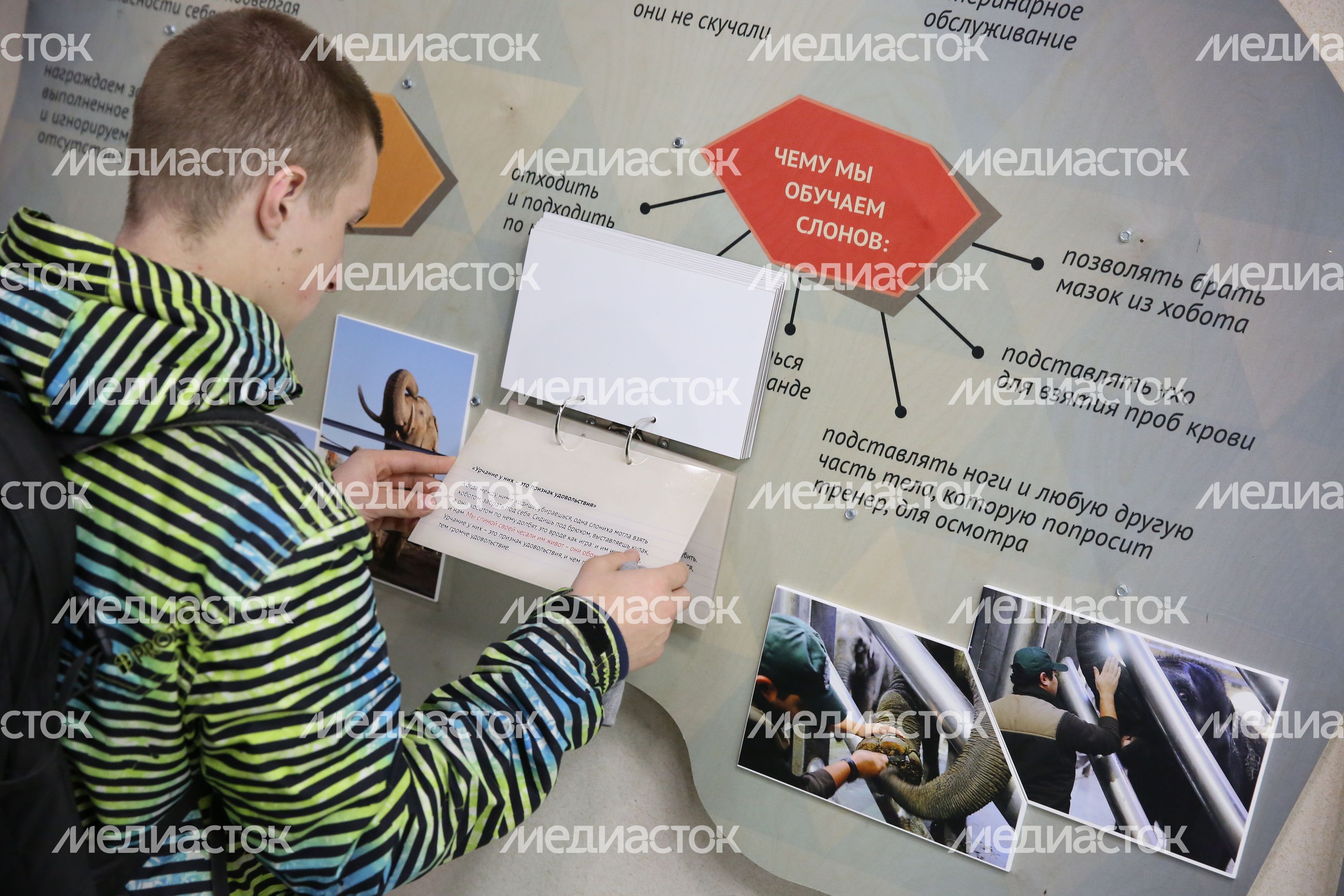 Музей слонов в Московском зоопарке