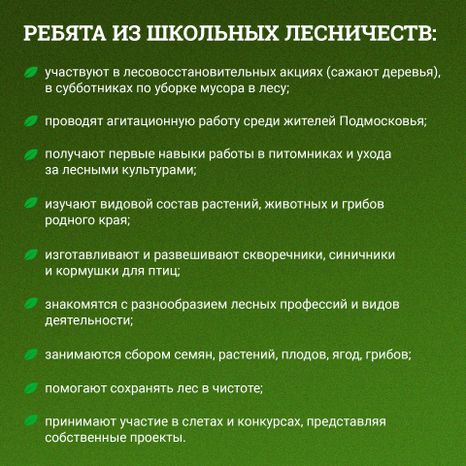 Квадрат_Школьные лесничестваArtboard 3.jpg