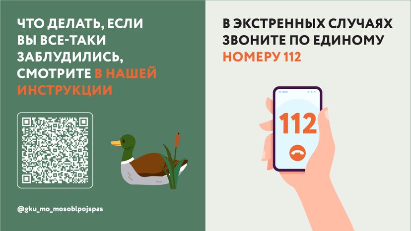 Горизонталь грибы 07.jpg