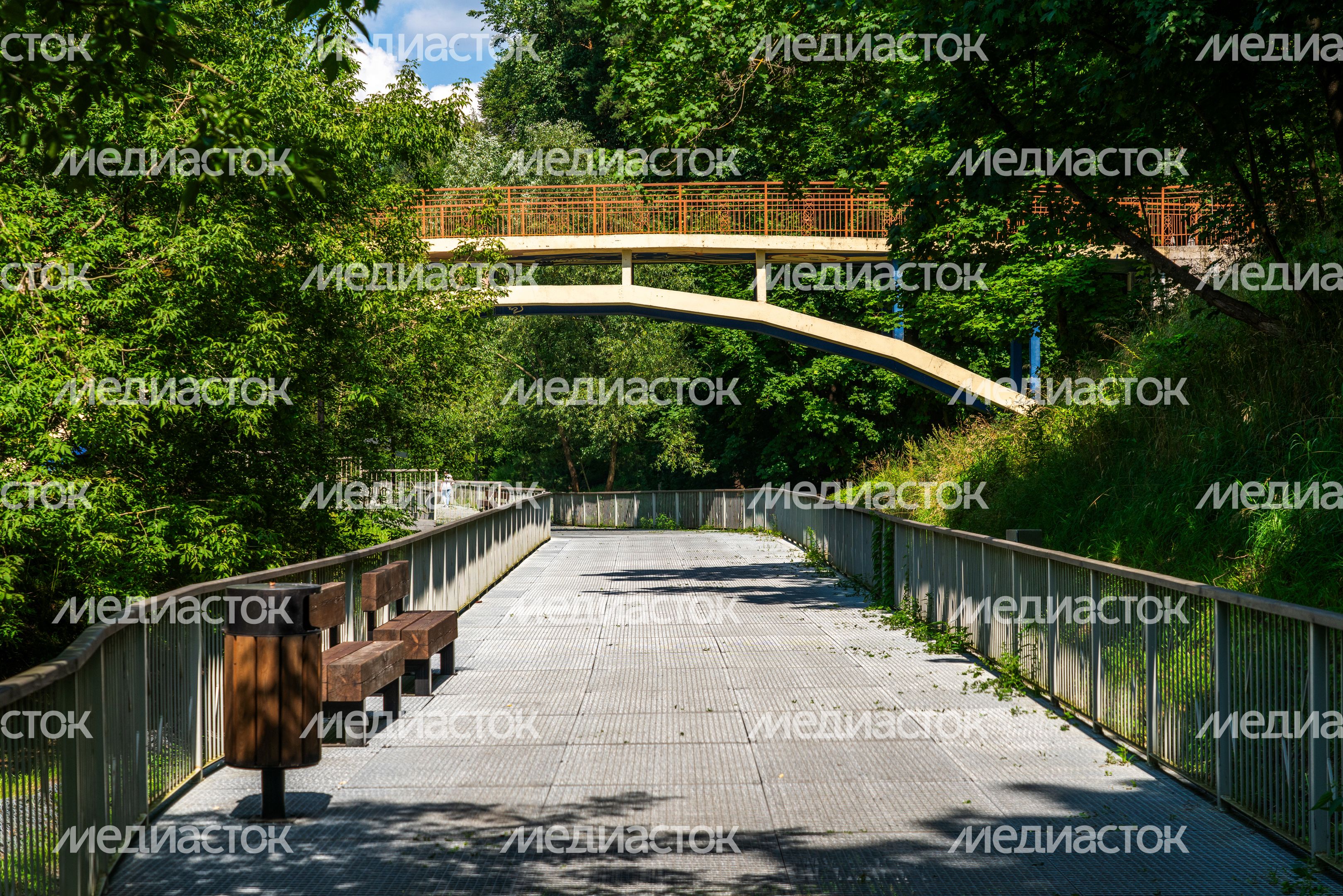 Новая туристическая тропа в Звенигороде – пешеходная зона «Малиновый овраг»