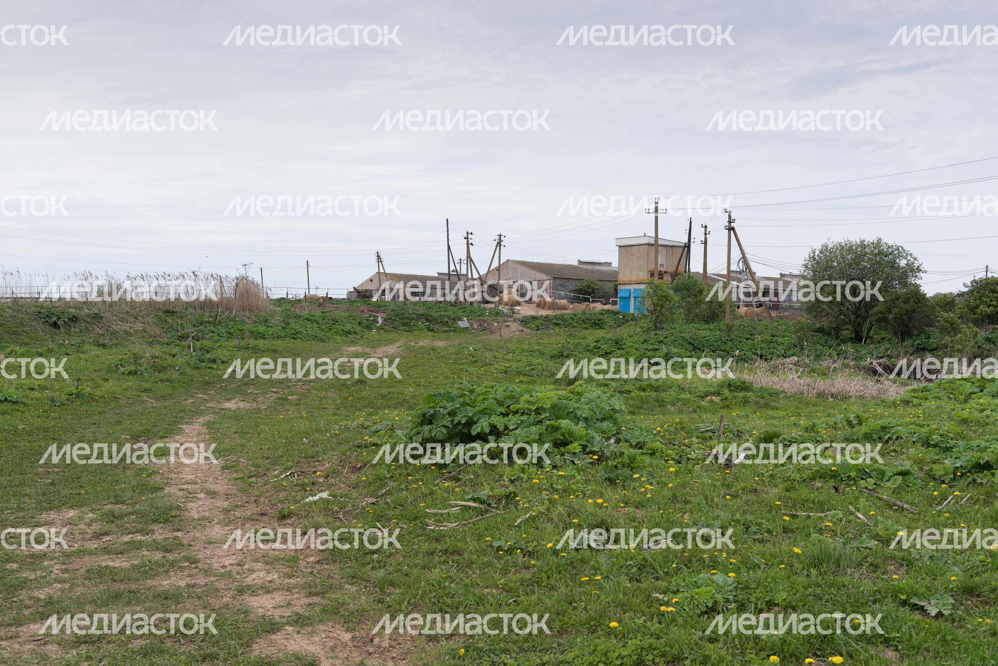 Конюшня-приют «Шанс на жизнь» в Клинском районе Подмосковья