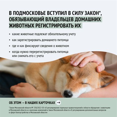 Зарегистрировать домашнее животное ред 2-квадрат-02.png