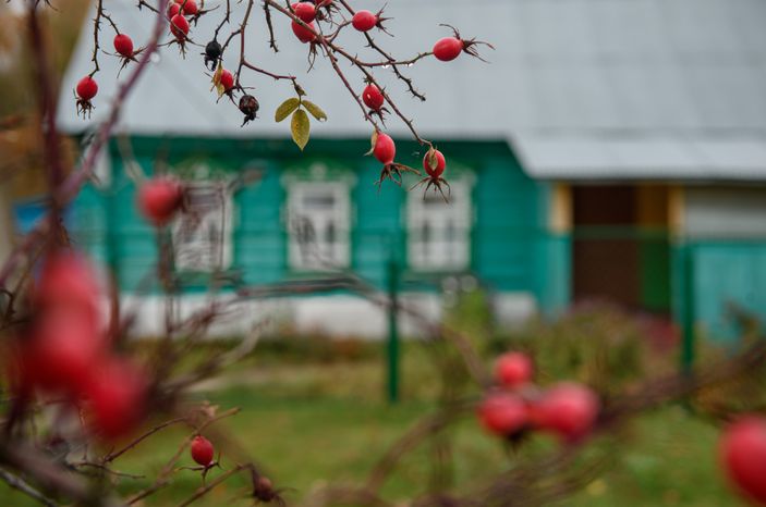 Осенние виды села Спас-Дощатый