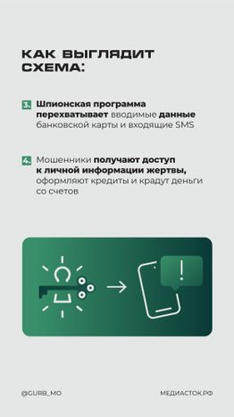 Мошенническая схема Мамонт вертикаль 03