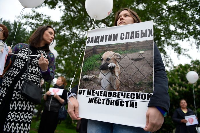 Митинг в защиту животных из приютов в Москве