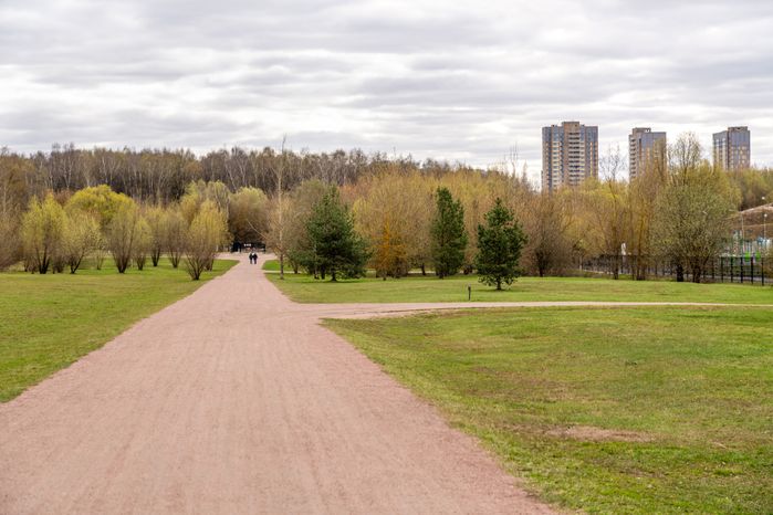 Мещерский парк в Одинцовском округе. Весна