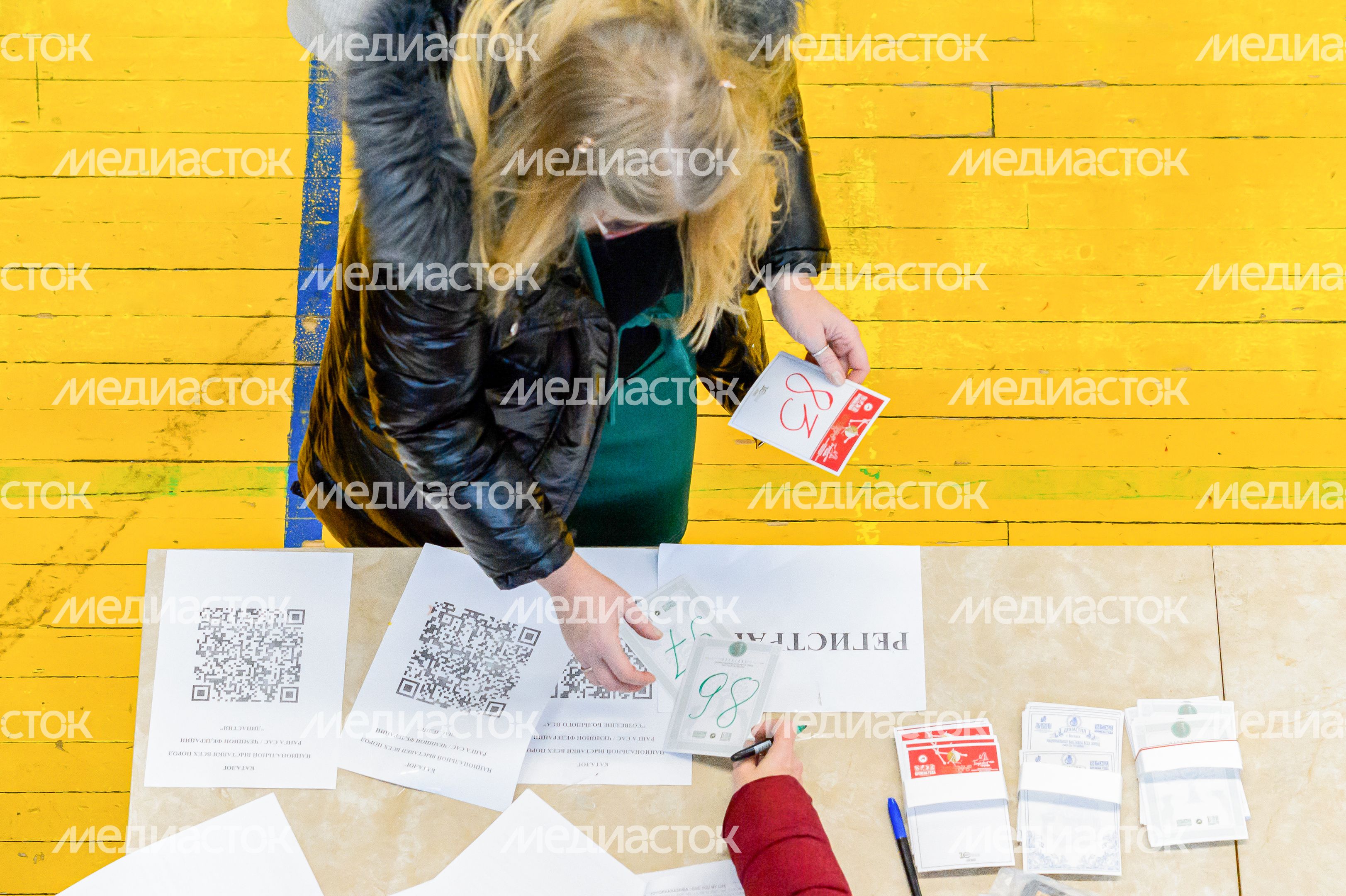 Богородский. Ногинск. Выставка собак всех пород Богородский. Ногинск. Выставка собак всех пород