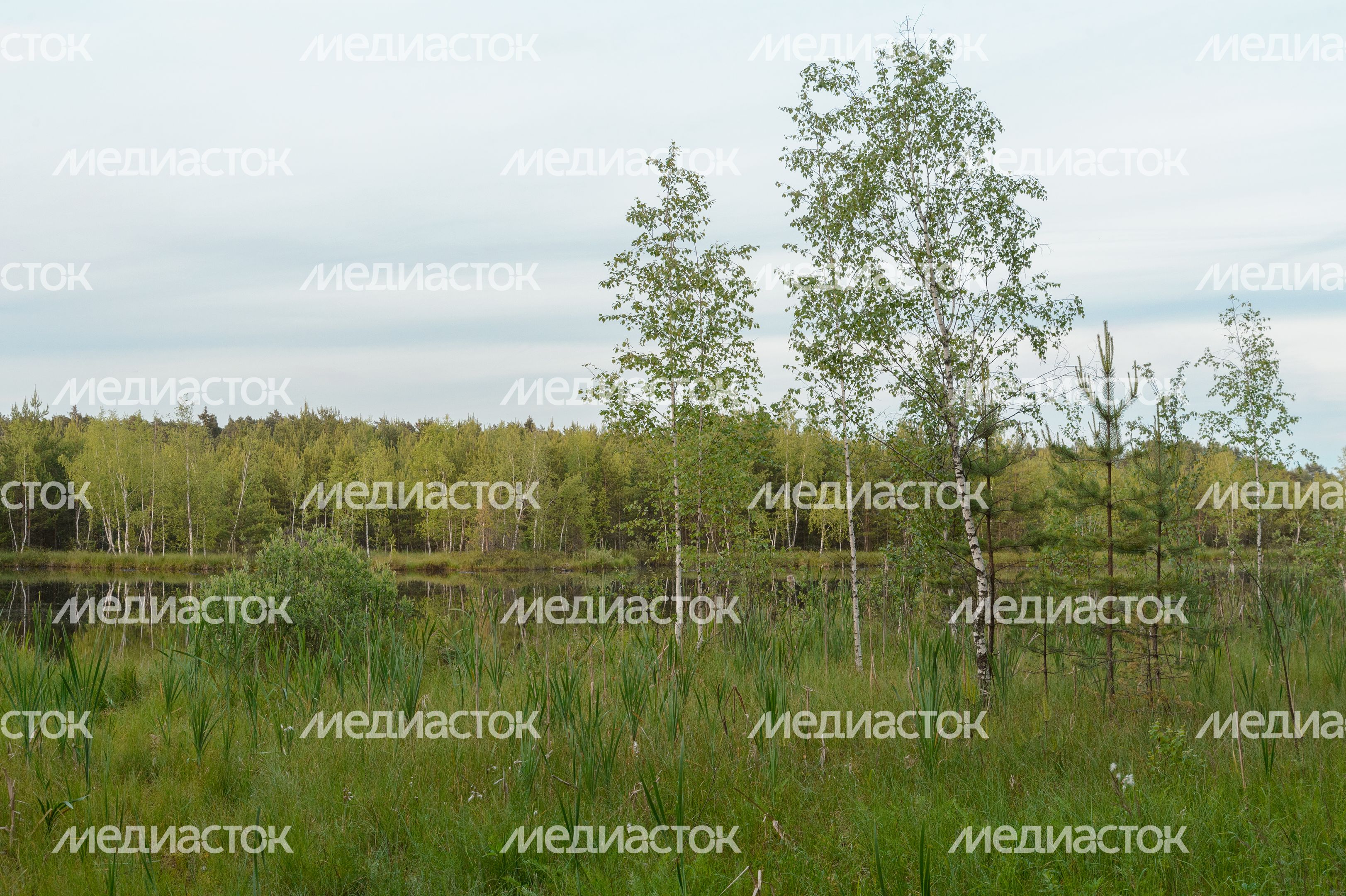 Озеро Безменковский Карьер