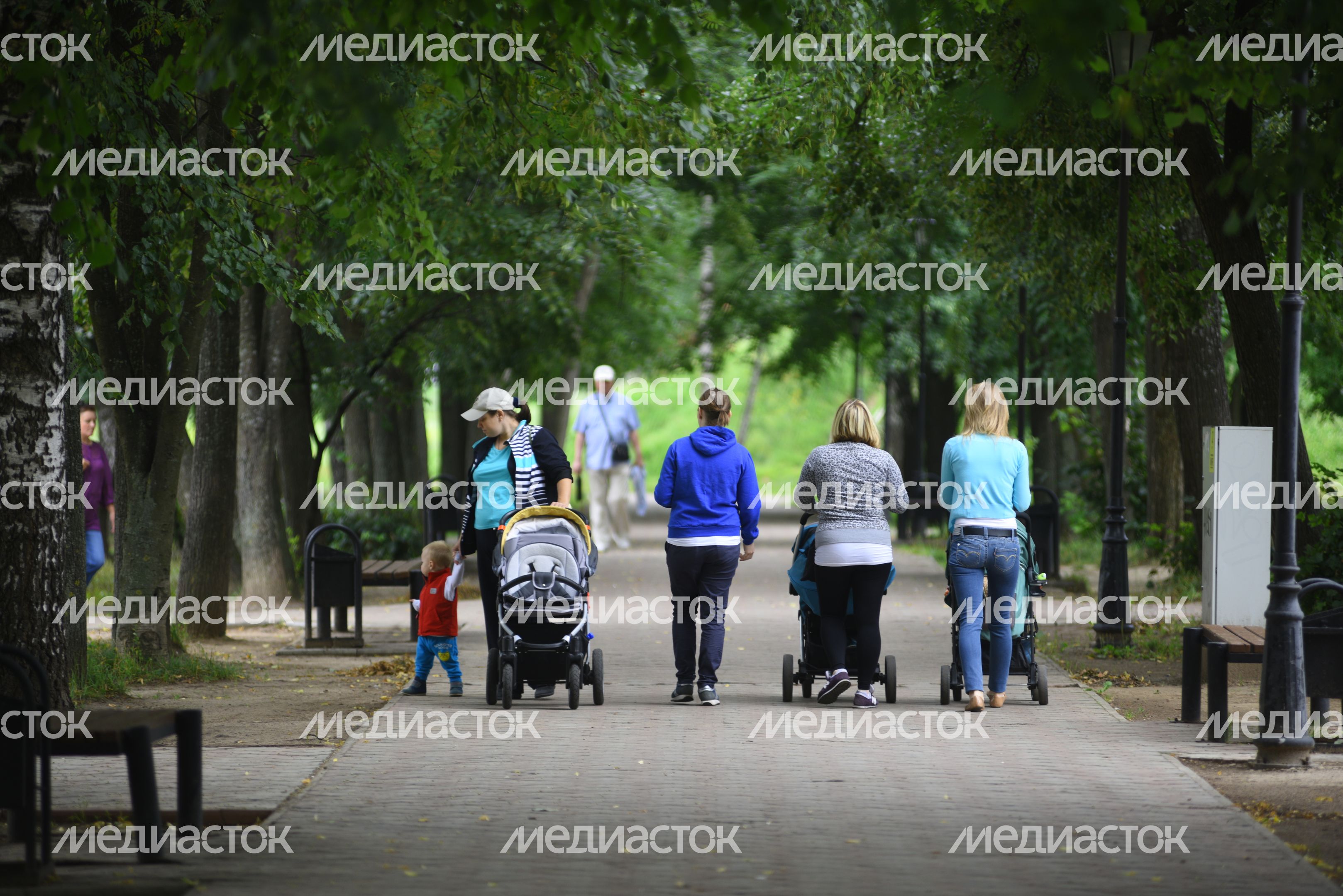 Городской парк в Долгопрудном