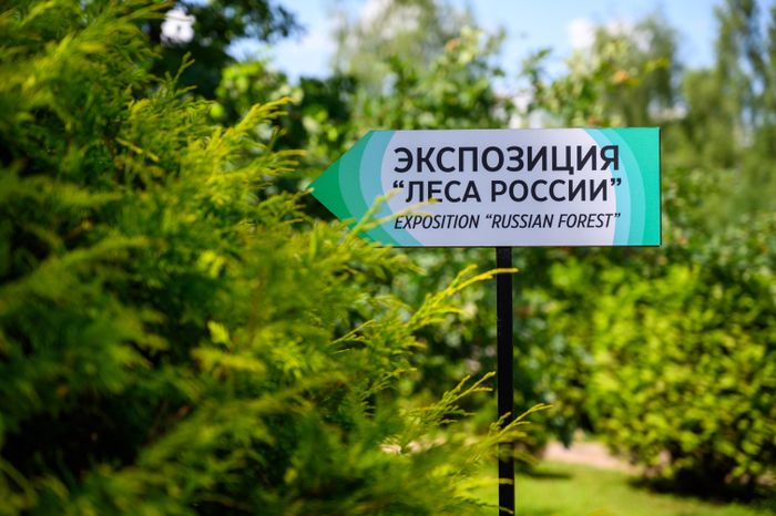 Эколого-просветительский комплекс "Дендрарий" в Мытищах
