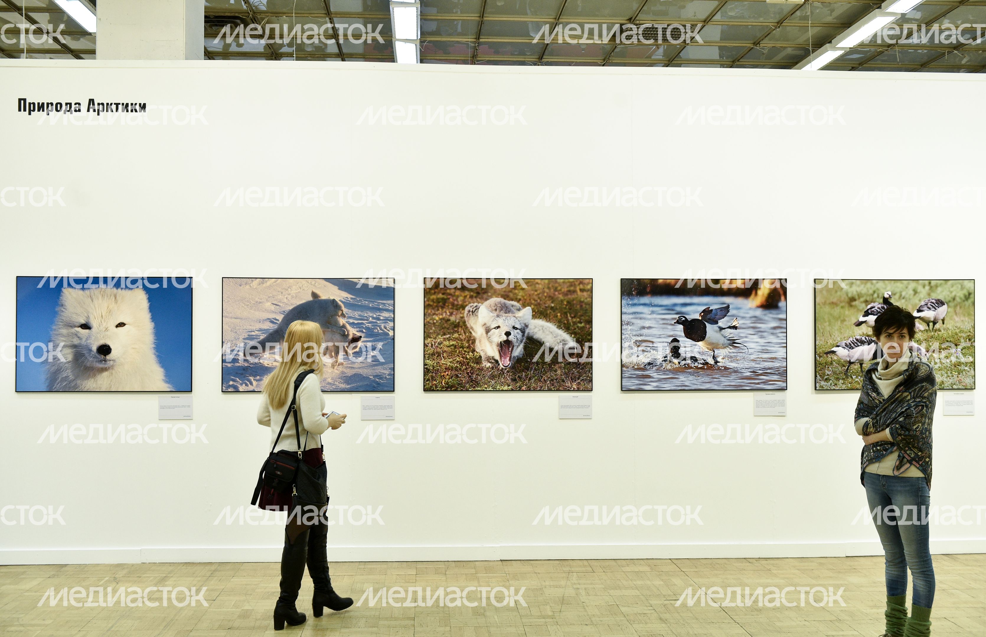 Открытие выставки «Первозданная Россия» в Москве