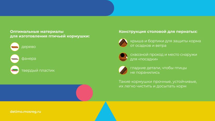 синичкин_день_горизонталь_06.jpg