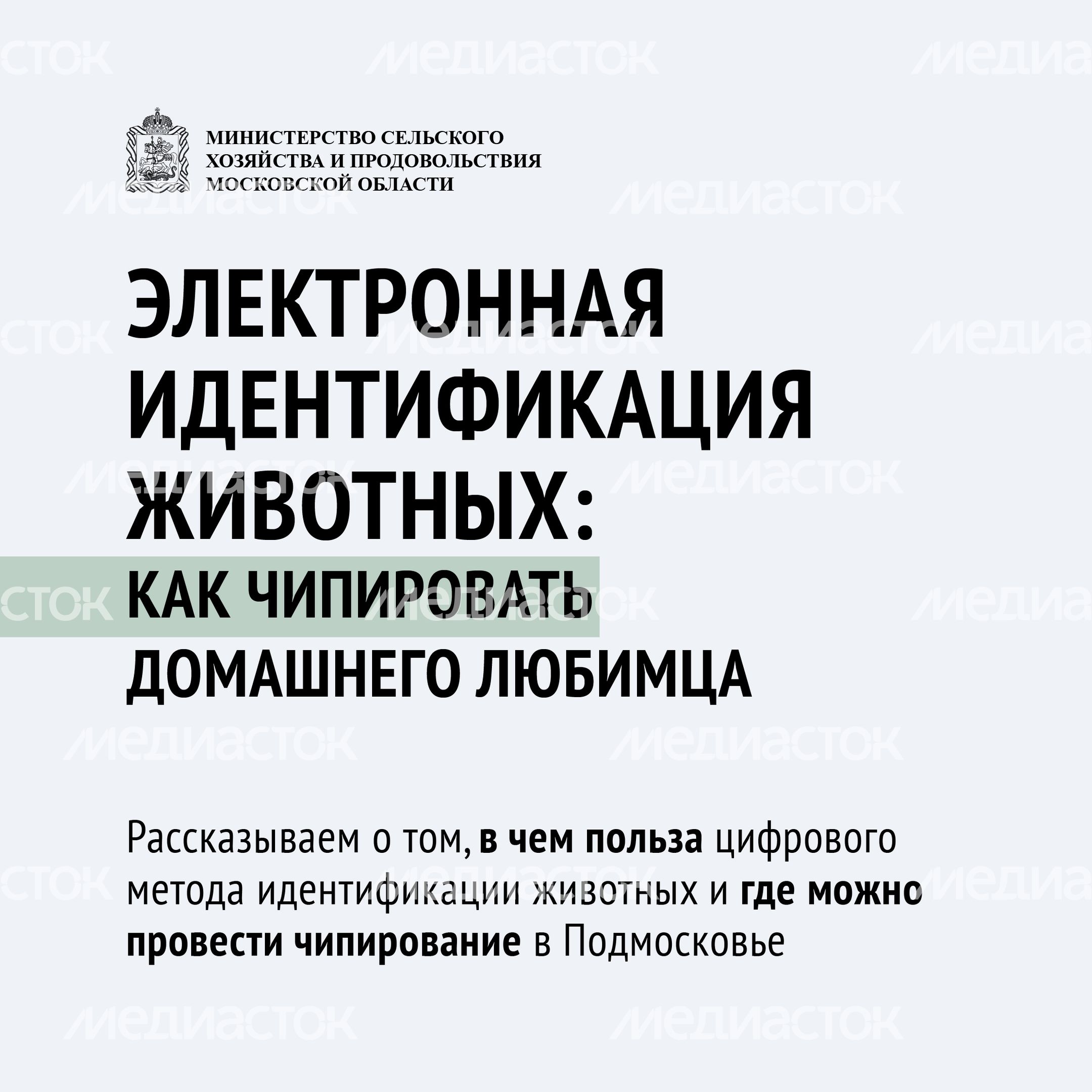 Чипирование-13.jpg