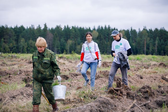 Богородский г.о. Наш лес. Посади свое дерево, сентябрь 2023 г.