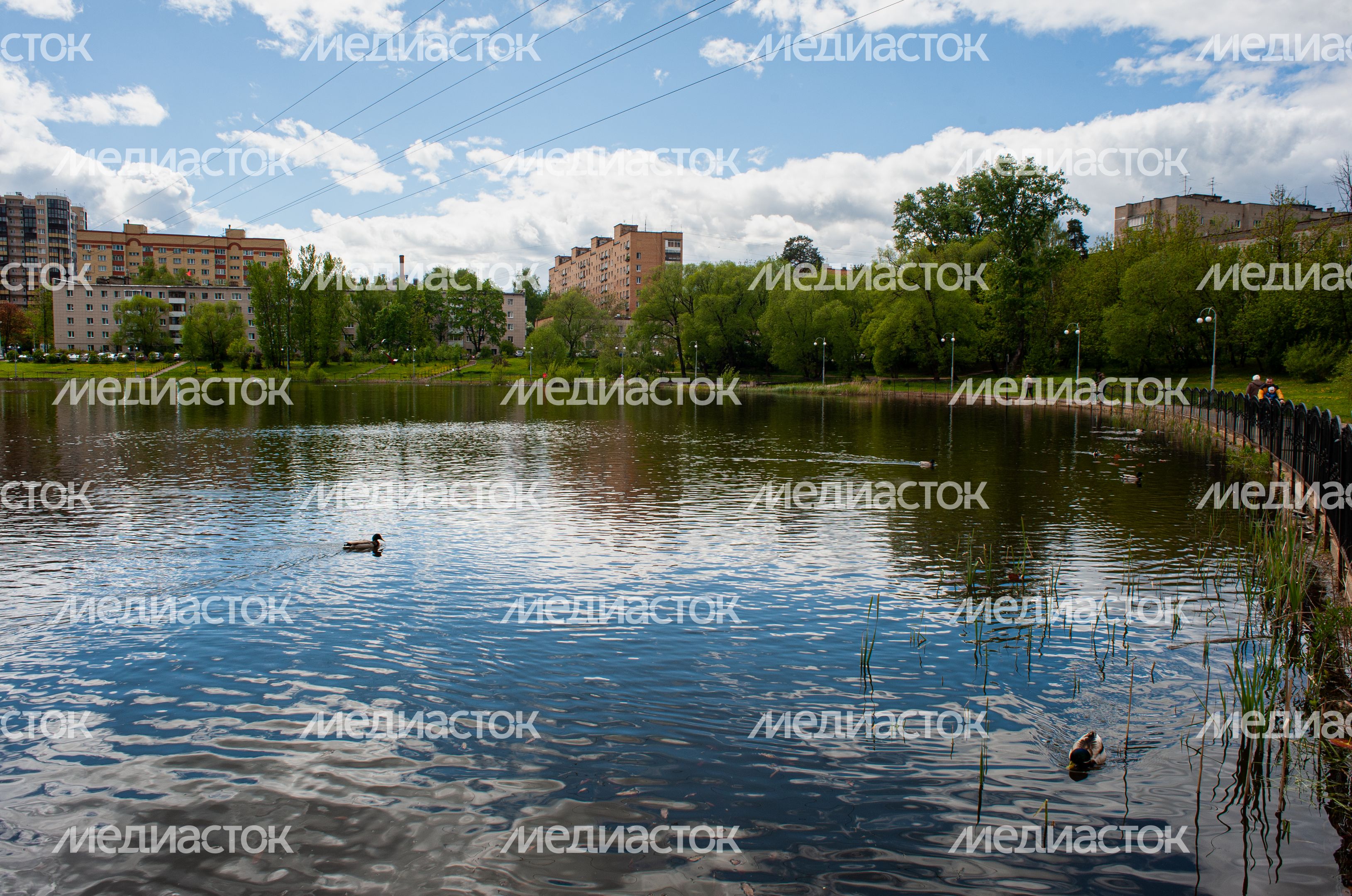 Весенние виды города Пушкино