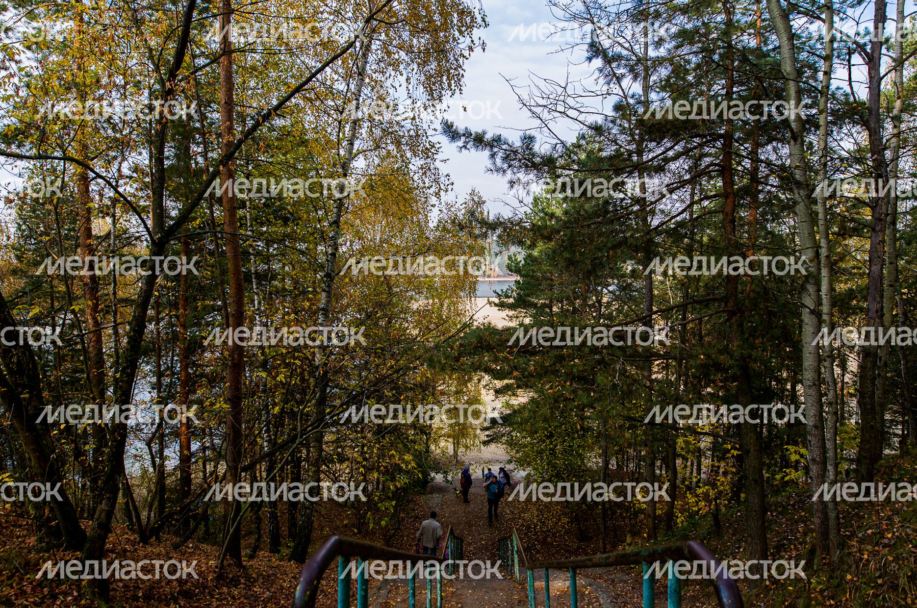 Осенние виды Томилинского лесопарка