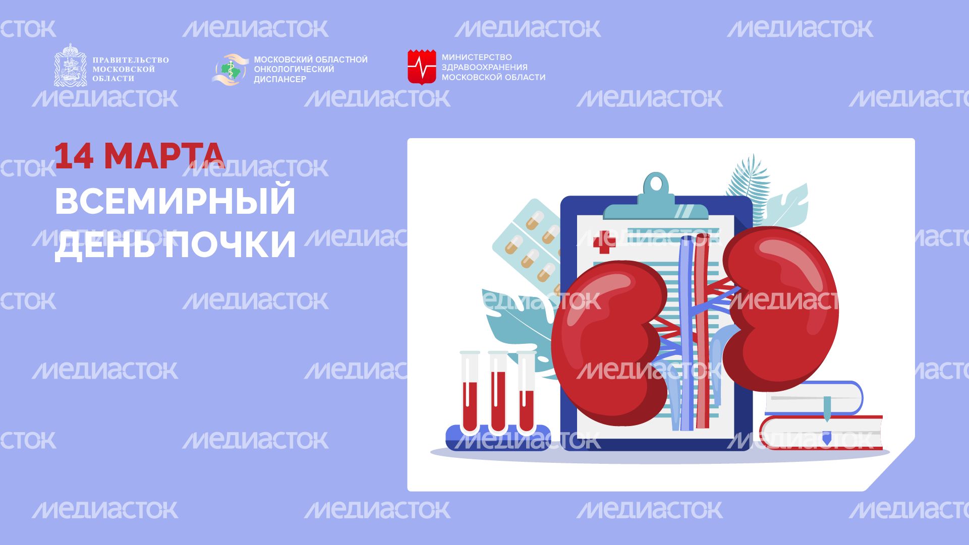 14 марта всемирный день почки-горизонталь