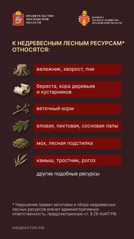 Недревесные ресурсы для собственных нужд Вертикаль 03