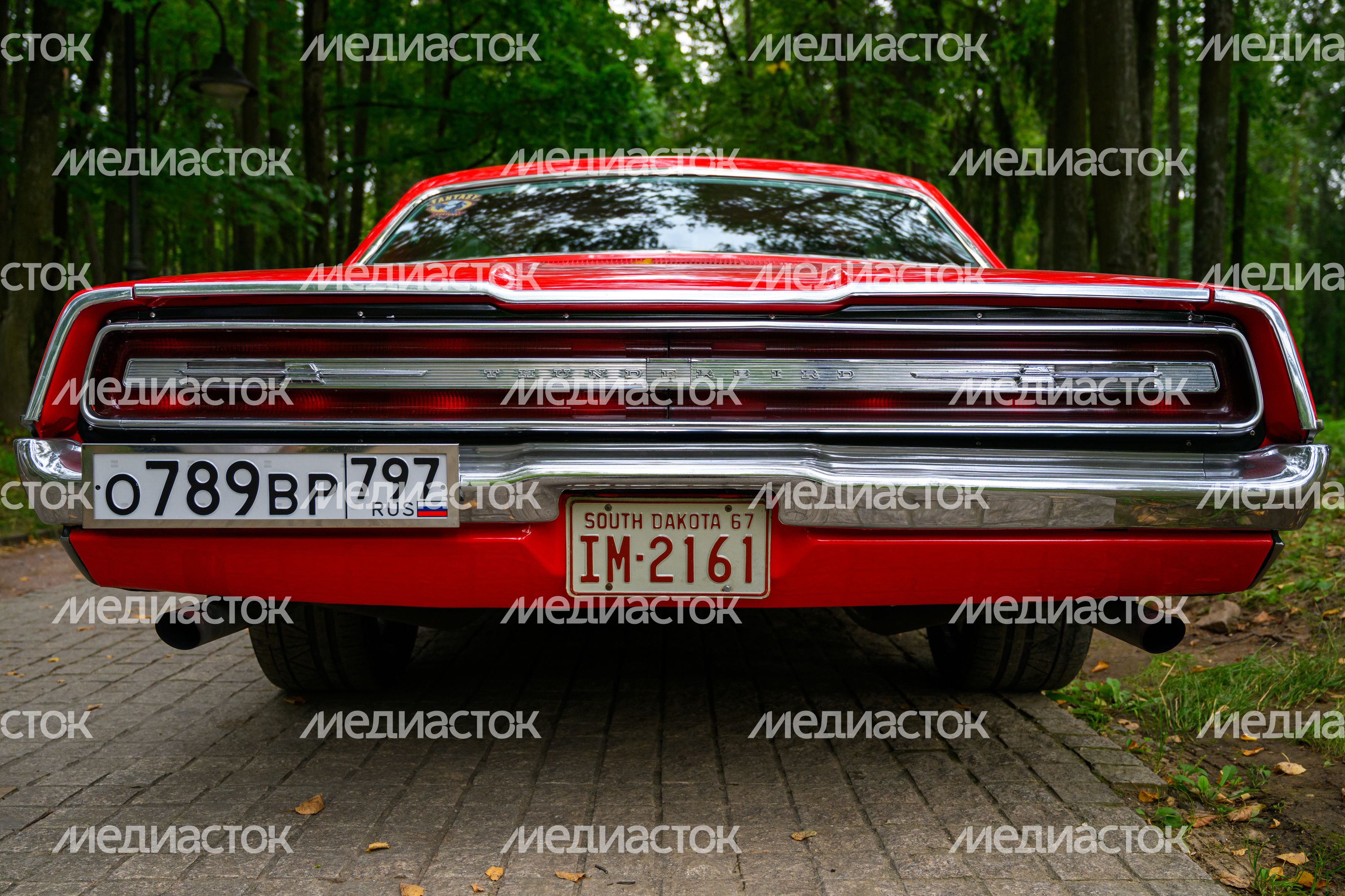 Автовыходные в музее-заповеднике "Архангельское" Автовыходные в музее-заповеднике "Архангельское"