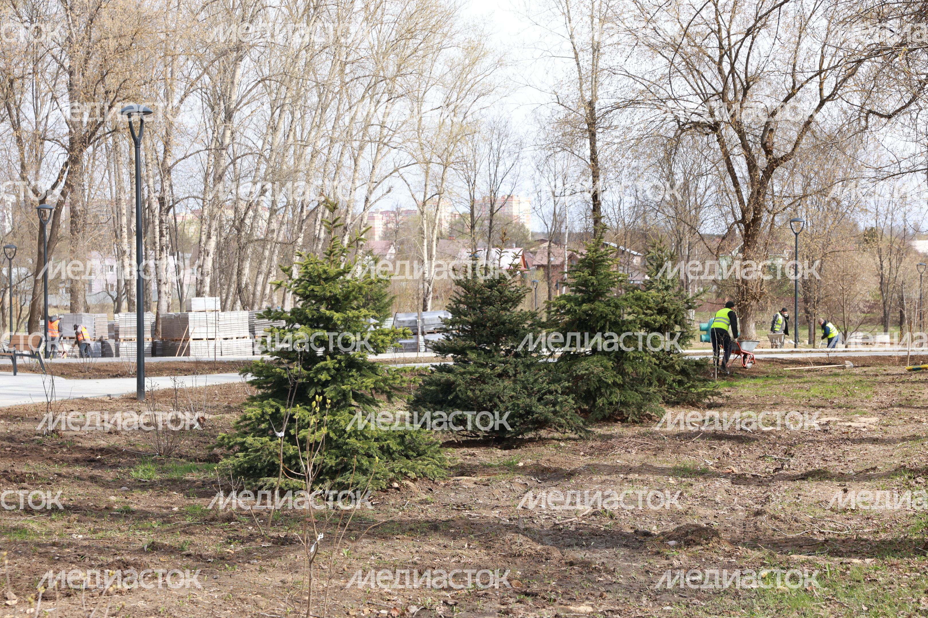 В Щелково продолжается благоустройство Центрального парка В Щелково продолжается благоустройство Центрального парка